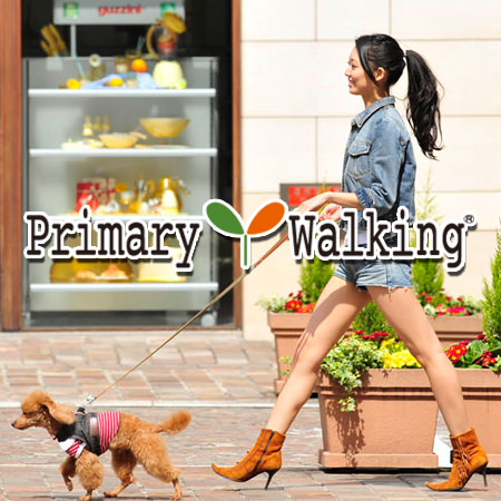 Primary Walking